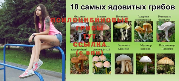 соль ск Арсеньев