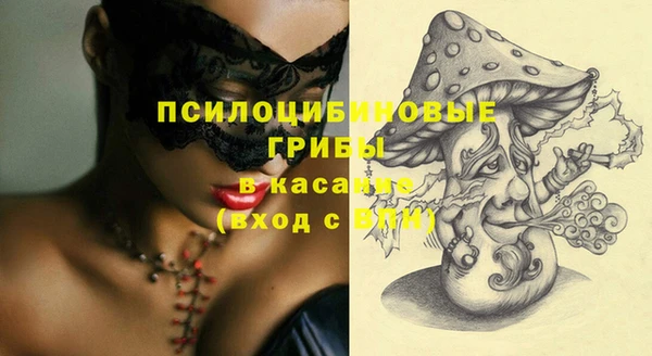 эйфоретик Аркадак