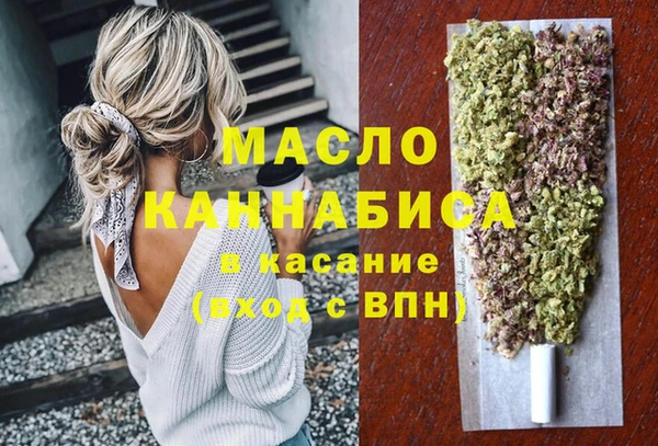 стаф Медногорск