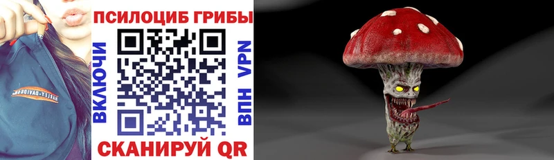 цена   Любань  Псилоцибиновые грибы прущие грибы 